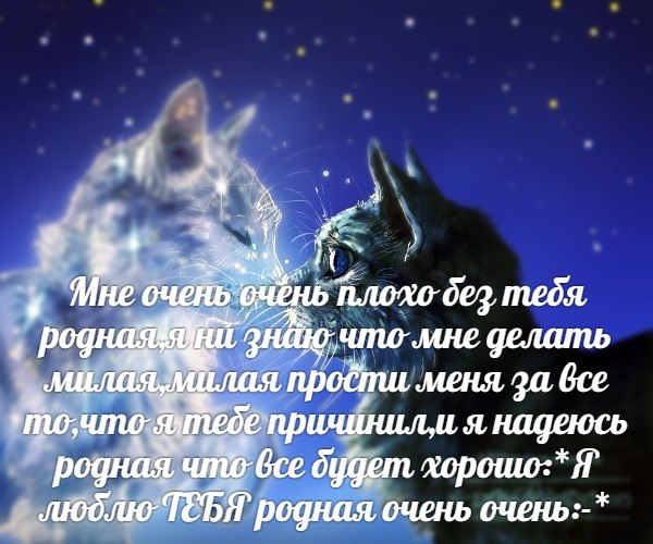 и все таки я его люблю - Прости меня за то, что я люблю